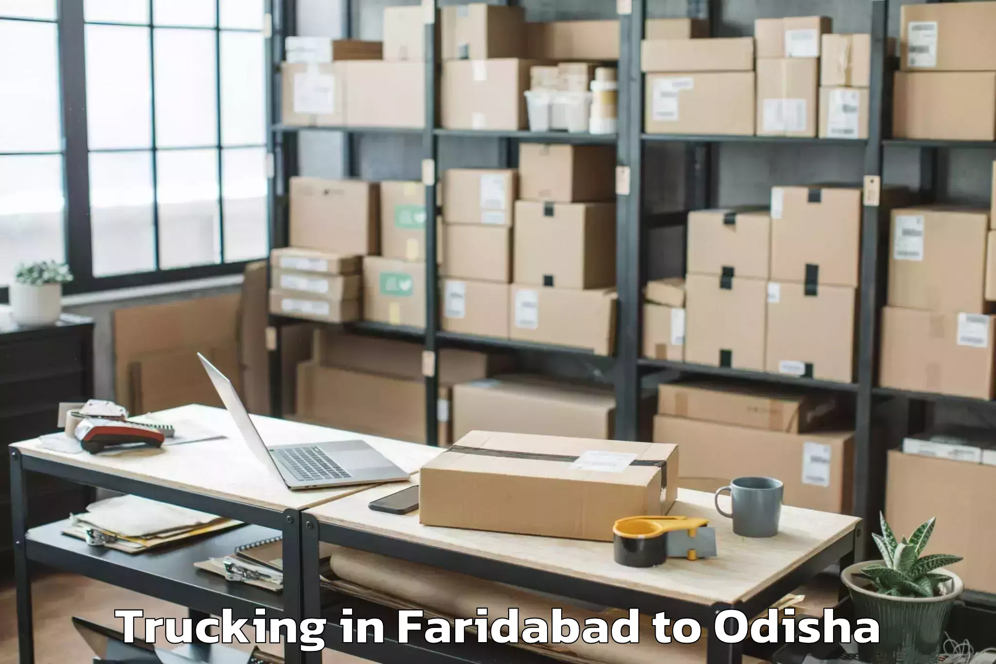 Top Faridabad to Kendujhar Trucking Available